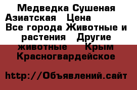 Медведка Сушеная Азиатская › Цена ­ 1 400 - Все города Животные и растения » Другие животные   . Крым,Красногвардейское